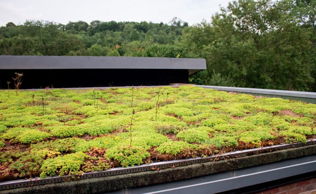 Toiture terrasse végétalisée sur habitation